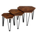 TecTake Odkládací stolek Torquay – set - Industrial tmavé dřevo