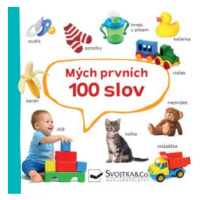 Mých prvních 100 slov