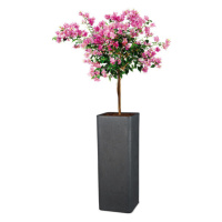 Scheurich Květináč Cube High (výška cca 70 cm, Granit černá)