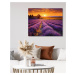 Obrazy na stěnu - Západ slunce nad levandulovým lánem Rozměr: 40x50 cm, Rámování: bez rámu a bez