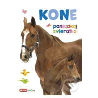 Kone - kniha z kategorie Chov koní