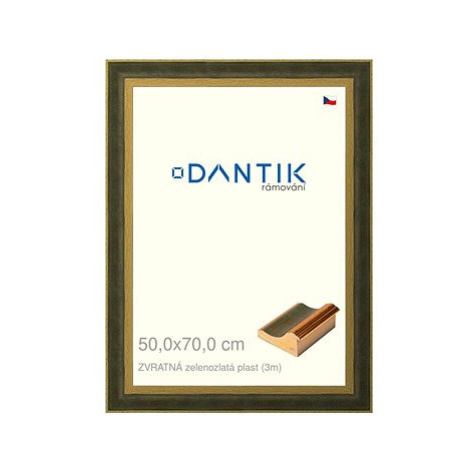 DANTIK rámeček 50 × 70, ZVRATNÝ zelenozlatý plast plexi čiré