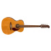 Fender Villager 12-String WN AGN