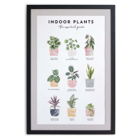 Nástěnný obraz v rámu Really Nice Things Indoor Plants, 30 x 40 cm