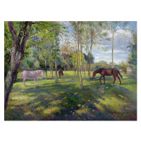 Obrazová reprodukce In the Rectory Paddock, 1993, Timothy Easton, 40 × 30 cm