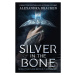 Silver in the Bone - Alexandra Bracken - kniha z kategorie Fantasy