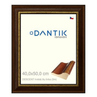 DANTIK rámeček 40 × 50, DESCENT hnědý Au linka plexi čiré