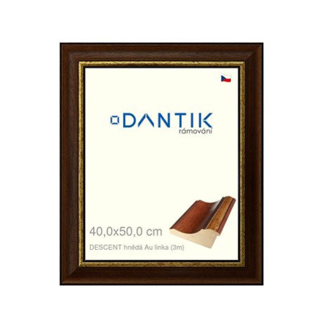 DANTIK rámeček 40 × 50, DESCENT hnědý Au linka plexi čiré