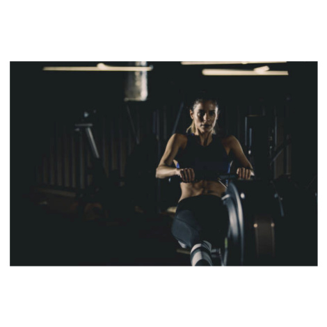 Umělecká fotografie Strong woman doing seated row exercise, fotostorm, (40 x 26.7 cm)