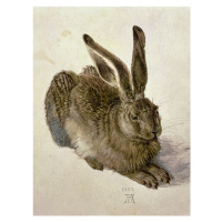 Obrazová reprodukce Hare (1502), Albrecht Dürer, 30 × 40 cm