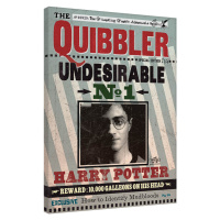 Obraz na plátně Harry Potter - Quibbler, (60 x 80 cm)