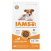 IAMS Advanced Nutrition Small & Medium s kuřecím, 3 / 5 kg - 15 % sleva - Puppy Small / Medium B