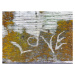 Fotografie Love Text In Lichen, liveslow, 40 × 30 cm