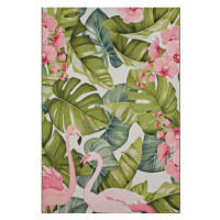 Hanse Home Collection koberce Kusový koberec Flair 105614 Tropical Flamingo Multicolored – na ve