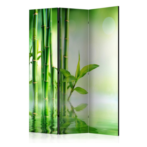 Paraván Green Bamboo Dekorhome 225x172 cm (5-dílný)