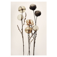 Ilustrace Glass Ball Flowers, Treechild, 26.7 × 40 cm