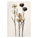 Ilustrace Glass Ball Flowers, Treechild, 26.7 × 40 cm