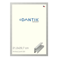 DANTIK rámeček 21 × 29,7, ALU profil 6220 Stříbrný matný sklo čiré