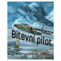 Bitevní pilot - Rostislav Stroin