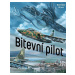 Bitevní pilot - Rostislav Stroin