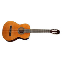 TANGLEWOOD EM C3