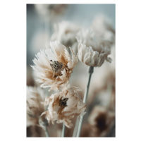 Umělecká fotografie Dry Pastel Flowers No 3, Treechild, (26.7 x 40 cm)