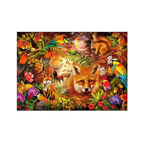 Schmidt Květiny, srst a peří 1000 dílků Oscar Schmidt