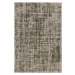 Khaki koberec 240x340 cm Kuza – Asiatic Carpets