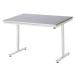 RAU Psací stůl s elektrickým přestavováním výšky, ocelový povlak, nosnost 150 kg, š x h 1250 x 1