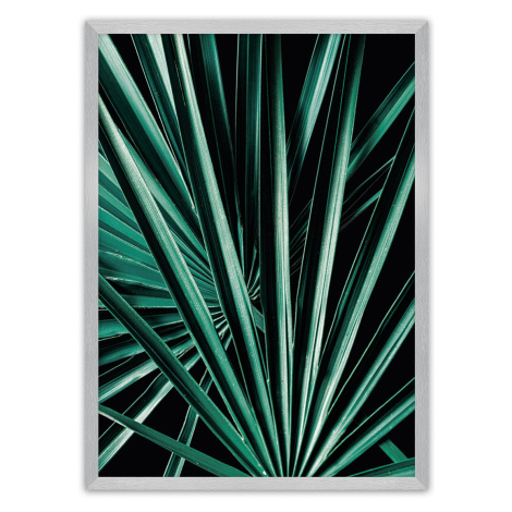 Dekoria Plakát Dark Palm Tree, 30 x 40 cm, Volba rámku: Stříbrný