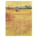 Obrazová reprodukce Wheat field with View of Arles (1888), Vincent van Gogh, 30 × 40 cm