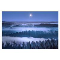 Fotografie Beautiful foggy forest, Aulanko, Hameenlinna, Finland, Milamai, 40 × 26.7 cm