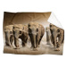 IMPAR Beránková deka Sloni v poušti, 150 × 120 cm