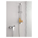 Grohe 27458000 - Sprchová hlavice, 1 proud, chrom