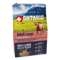 Krmivo Ontario Adult Large Chicken & Potatoes 2,25kg