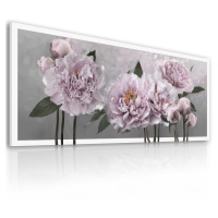 Obraz na plátně PEONY B 120x50 cm Ludesign