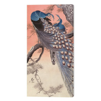 Obraz na plátně Ohara Koson - Two Peacocks on Tree Branch, (30 x 60 cm)
