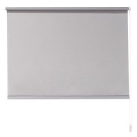 LIVARNO home Roleta pro denní světlo, 100 x 150 cm (šedá)