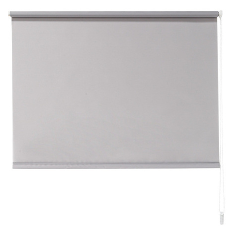 LIVARNO home Roleta pro denní světlo, 100 x 150 cm (šedá)