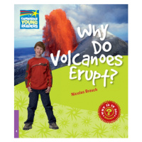 Cambridge Factbooks 4 Why Do Volcanoes Erupt?  Cambridge University Press