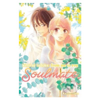 Kimi ni Todoke: From Me to You: Soulmate 2 - Karuho Shiina - kniha z kategorie Komiksy