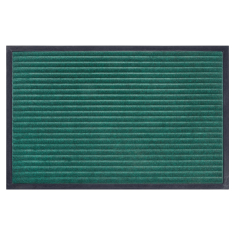 Hanse Home Collection koberce Rohožka Mix Mats Striped 105650 Smaragd Green Rozměry koberců: 40x