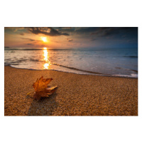 Fotografie Beautiful sunrise over the sea and leaf. Autumn concept., valio84sl, 40x26.7 cm
