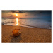 Fotografie Beautiful sunrise over the sea and leaf. Autumn concept., valio84sl, 40x26.7 cm