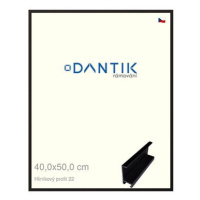 DANTIK rámeček 40 × 50, ALU profil 7022 Černý matný sklo čiré