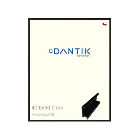 DANTIK rámeček 40 × 50, ALU profil 7022 Černý matný sklo čiré