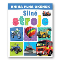 Kniha plná okének  Silné stroje  Andrew Burgess, Pooja Desai