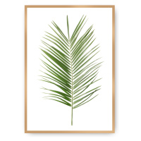Dekoria Plakát Palm Leaf Green, 21 x 30 cm, Vybrat rám: Zlatý