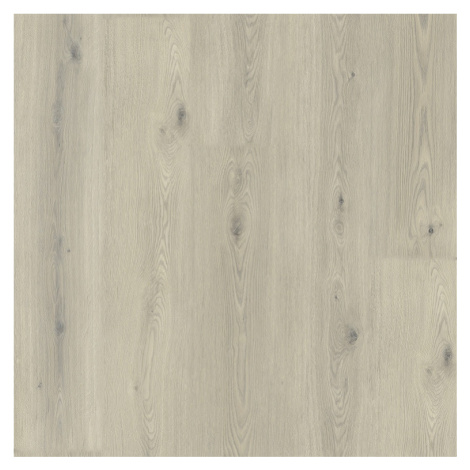 Experto LVT 55 Dub Verdi 8196L-004 V-podlahy