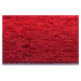 Hanse Home Collection koberce Kusový koberec Bila 105856 Masal Red - 60x90 cm